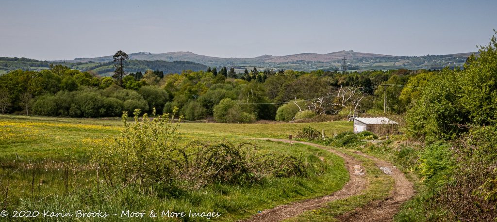 Image of Hay Tor