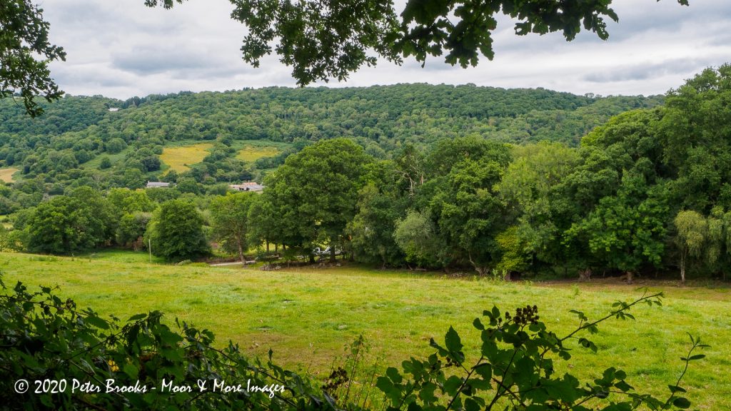 Image of Image of landscape near Lustleigh