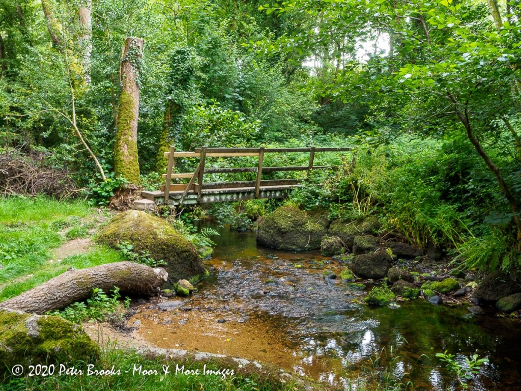 Image of wooden footbridge