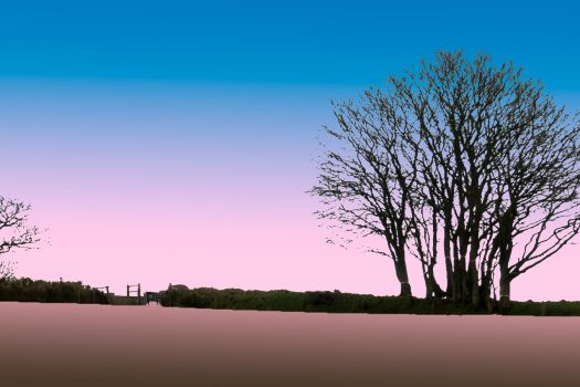 Image of trees at Heltor, Dartmoor, in the style of a linocut.