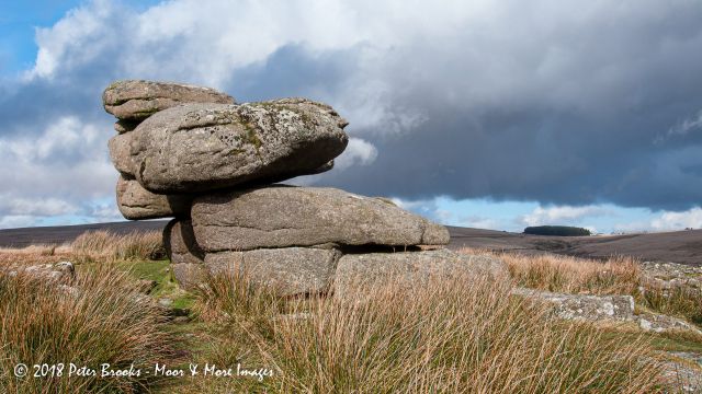 Above the River Meavy