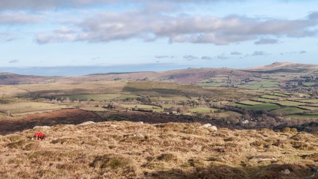 View from Corndon Down, Dartmoor