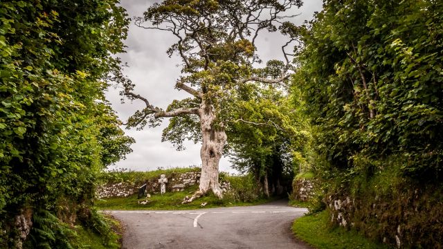 SX 70108 75342 Drywells Stone Cross, Dartmoor