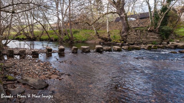 Stepping stones across the North Teign