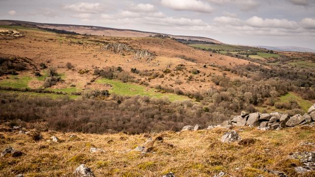 View of Greator Rocks and Hound Tor from Smallacombe Rocks, Dartmoor