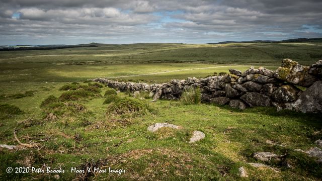 SX 63610 86477 View to Kestor from Hew Down, Dartmoor