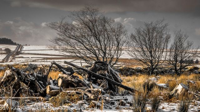Holming Beam, Dartmoor, in the snow