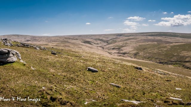 Looking South View to the South from Steeperton Tor, Dartmoor