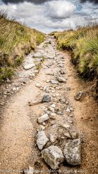 The Track to Eylesbarrow TMine, Dartmoor