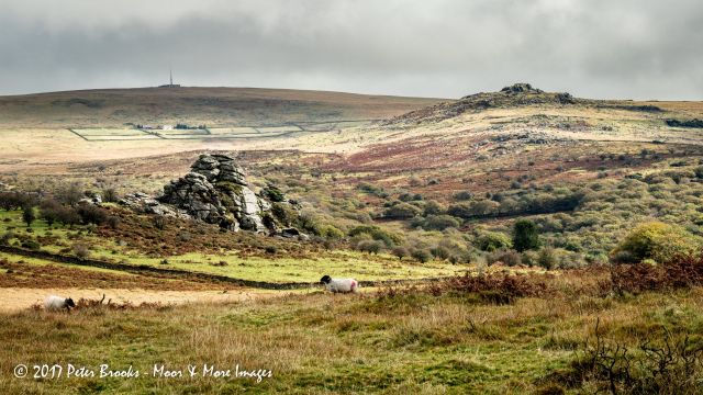 Vixen Tor (in the foreground), King Tor (Right) and North Hessary Tor (Top Left) View of Vixen Tor King Tor and South Hessary Tor on Dartmoor