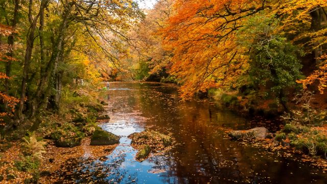 River Teign below Castle Drogo