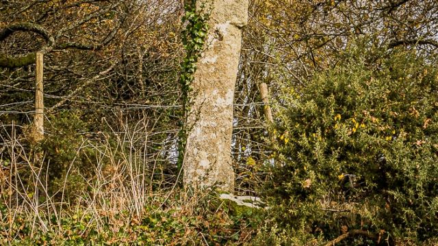 Beator Stone Cross also known as The Watcher, Dartmoor