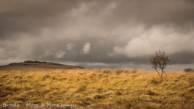 View from Black Dunghill towards Great Mis Tor, Dartmoor