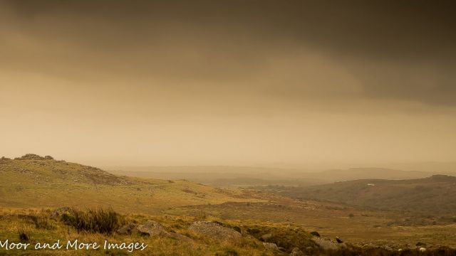 King Tor, Dartmoor